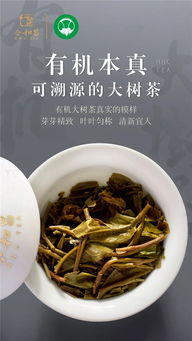 合和昌有機大樹餅茶 喝懂了,方知有機大樹茶的難能可貴
