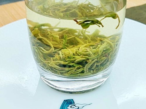 2023綠茶聯(lián)賽，江西隊(duì)出戰(zhàn)之狗牯腦茶登場(chǎng)