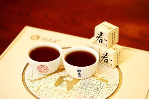 501大美之春手工沱 經(jīng)典配方全新形態(tài)，驚艷來襲